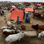 Islamabad Begins Major Clean Up for Eid ul Azha