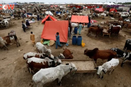 Islamabad Begins Major Clean Up for Eid ul Azha