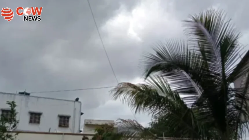 Karachi Sizzles Under Intense Heat as Sea Breeze Returns