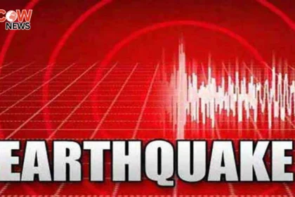 Magnitude 3.1 Quake Shakes Gwadar and Nearby Areas