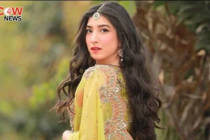 Maryam Nafees Slams Societys Bias Against Showbiz Women