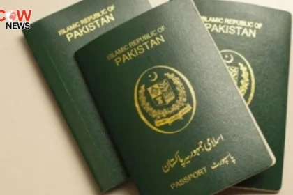 Millions of Pakistanis Migrate Abroad for Employment Report Reveals