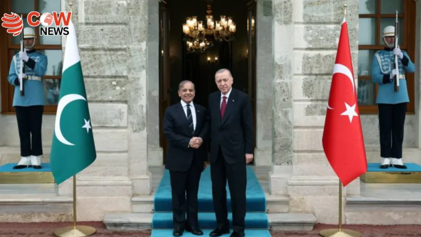 PM Shehbaz Discusses Regional Issues with Turkish President