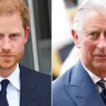 Prince Harry May Drop Royal Family Name for Spencer