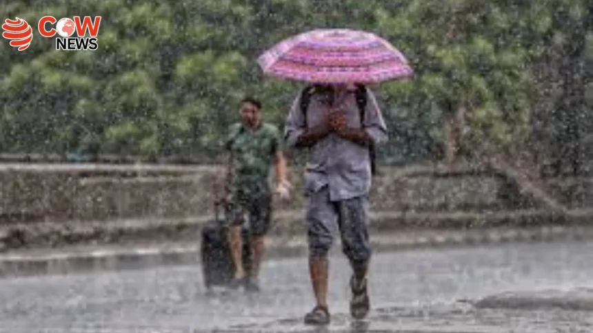 Rainy Fun: Rawalpindi & Islamabad Splash Party!