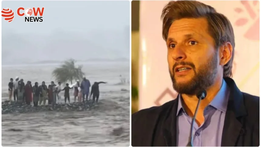 Shahid Afridi Slams Negligence in Swat Drowning Tragedy