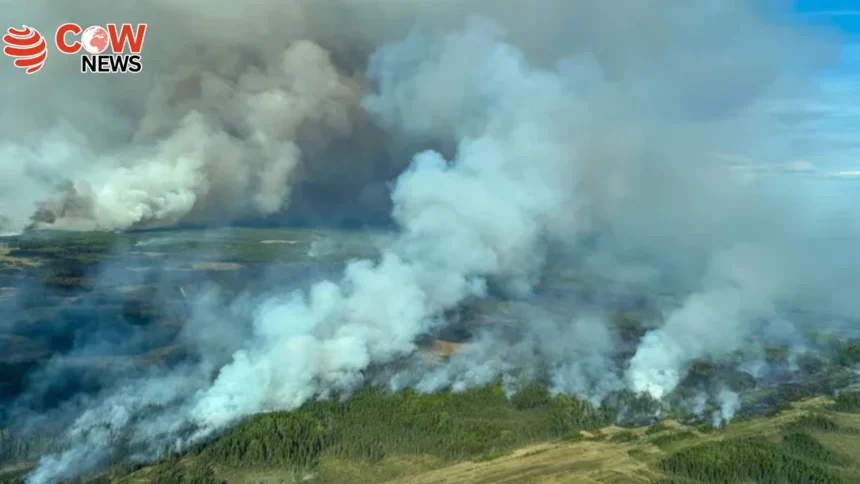 Wildfire Rages in Malakands Bata for 3rd Day