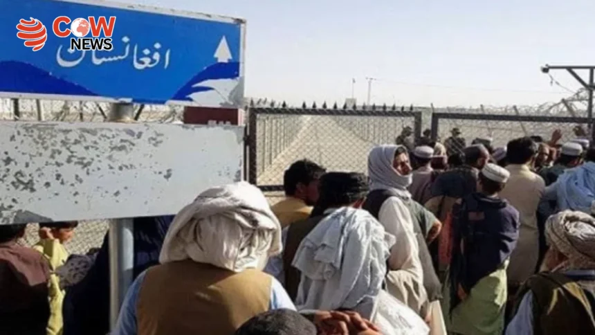 Afghan Refugees in Limbo as PoR Cards Expire