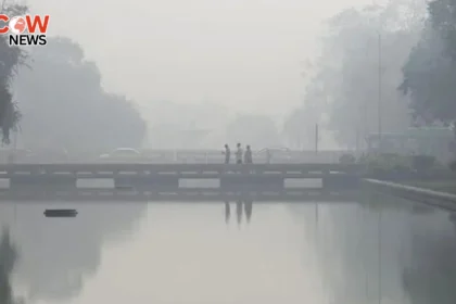 Air Pollution Significantly Increases Heart Disease Risk