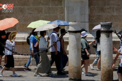 Europe Scorches in Heatwave Temperatures Hit 40°C