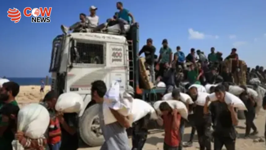 Israeli Gunfire Kills 67 Awaiting Aid in Northern Gaza