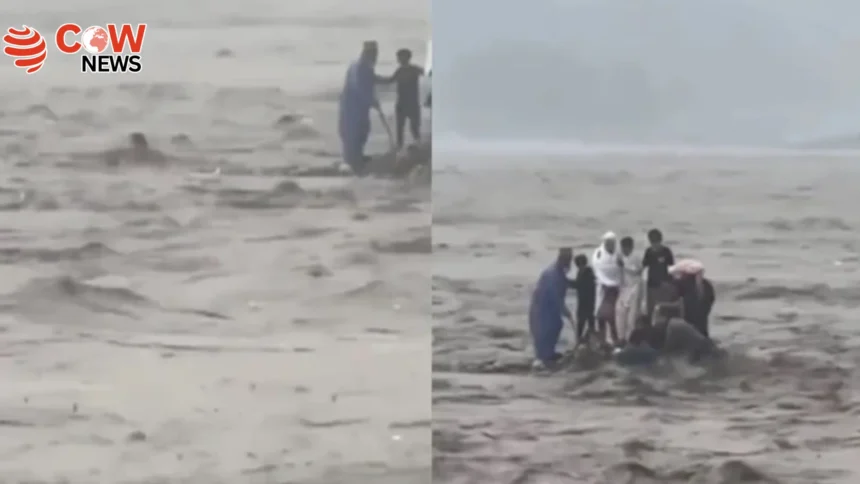 KP Govt Sacks Rescue and Swat Dev DGs Over Drowning Tragedy