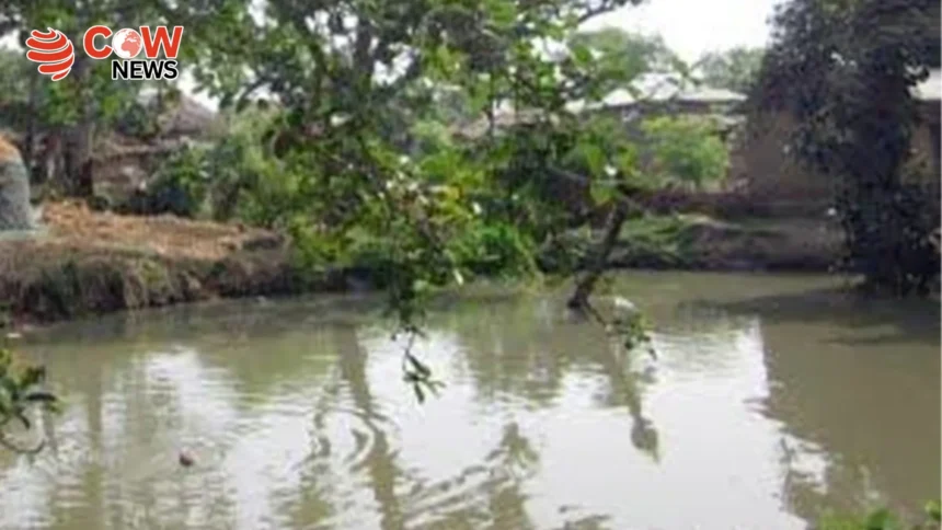 Mother Dies Trying to Save Children from Drowning