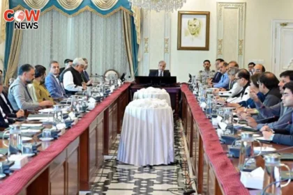 PM Demands FBR IT Reform Plan