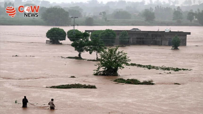 Punjab Rains Ease Death Toll Rises to 193 Nationwide
