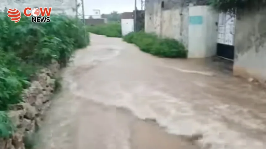 Record Rainfall Triggers Flood Emergency in Chakwal