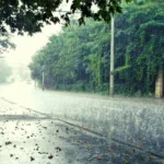 Sunday Forecast Rain Thunderstorms Strong Winds