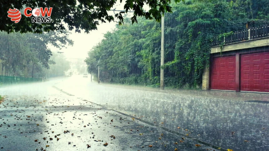 Sunday Forecast Rain Thunderstorms Strong Winds