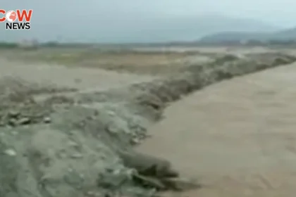 Swat Tragedy Exposed Whos to Blame for the Disaster