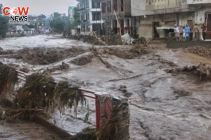 Heavy Rains Kill 341 in Khyber Pakhtunkhwa Buner Worst Hit