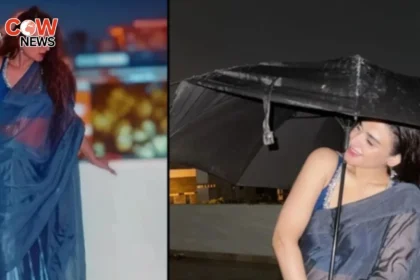 Hira Mani Faces Backlash for Rainy Saree Photoshoot