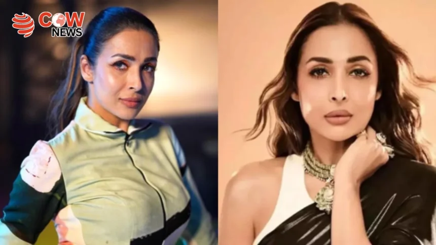 Malaika Arora Expresses Desire for Second Marriage at 51