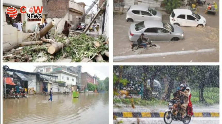 PDMA Releases KP Rain Damage Figures