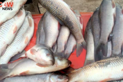 Pakistan Granted US Approval for Seafood Exports