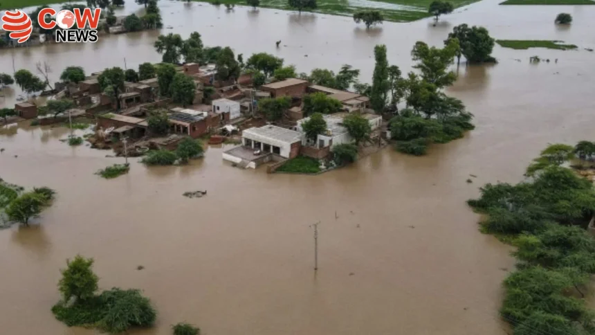 Punjab Floods Worsen Kasur Multan Face Grave Threats