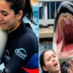 Viral Whale Trainer Death Video Exposed as Fake