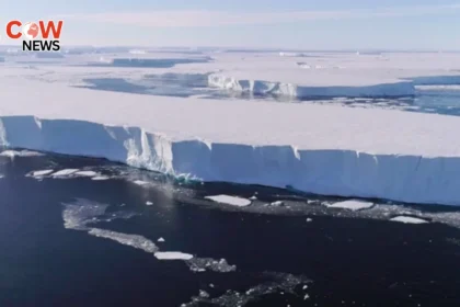 West Antarctic Ice Sheet Near Collapse, Scientists Warn 9 West Antarctic Ice Sheet Near Collapse Scientists Warn