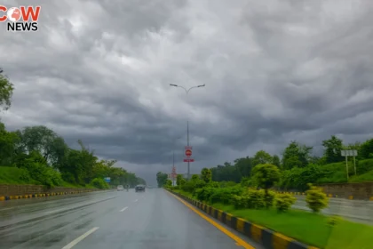 11th Monsoon Spell Set to Begin in Punjab Today