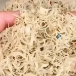 Chinas Strange Online Market for Human Fingernails