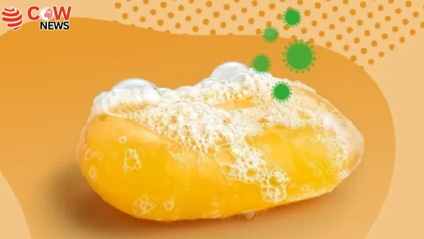 Does Soap Really Kill Germs Heres What Science Says