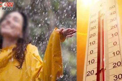 Dry Weather Likely Across Pakistan in 24 Hours