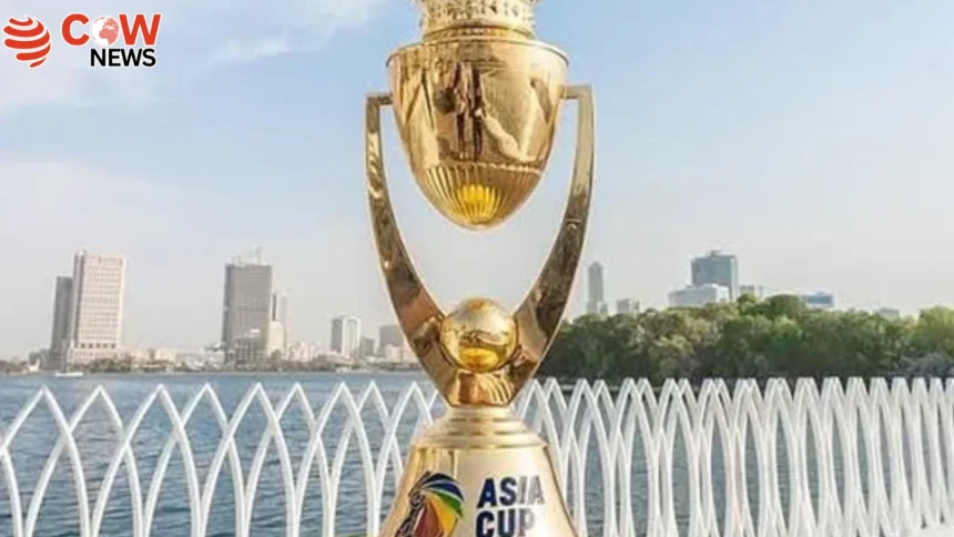Dubai Tycoon Buys 700 Asia Cup Tickets for Staff