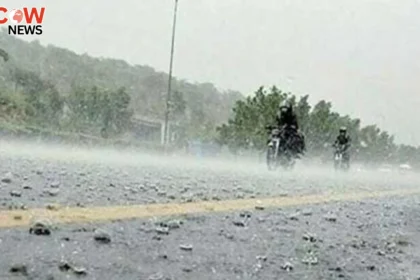 Faisalabad Sees Record 320mm Rainfall in 24 Hours 9 Faisalabad Sees Record 320mm Rainfall in 24 Hours