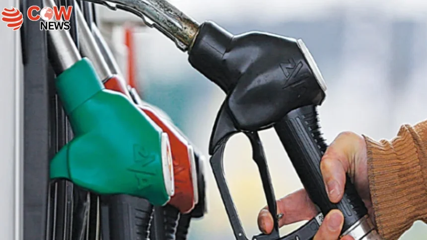 Government Announces New Petroleum Prices for 15 Days