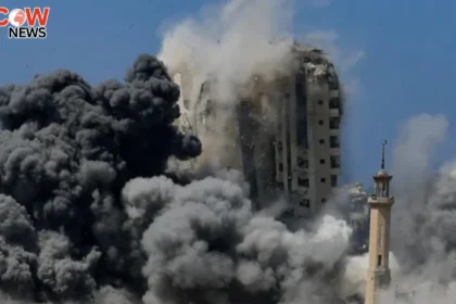 Israeli Strikes Kill 65 Palestinians in Gaza 14 from One Family