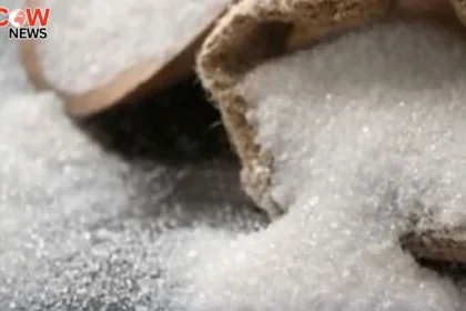 Karachi Sugar Supply Halt Sparks Price Surge Concerns