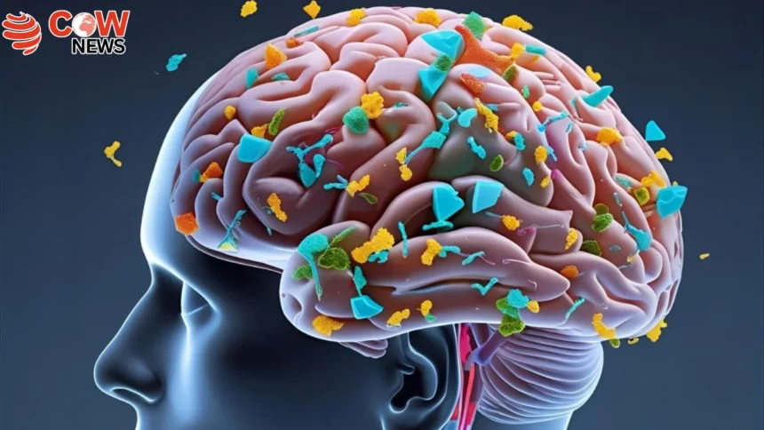 Microplastics Detected in Human Brain Study Warns of Serious Health Threats