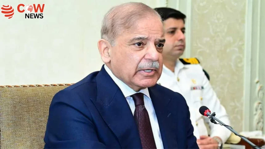 PM Shehbaz Halts August Bills for Flood Victims
