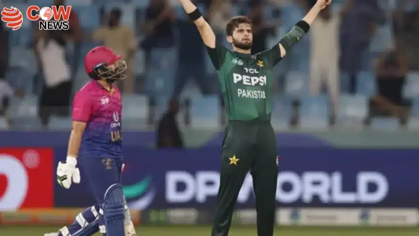 Pakistan Beat UAE by 41 Runs Qualify for Super 4