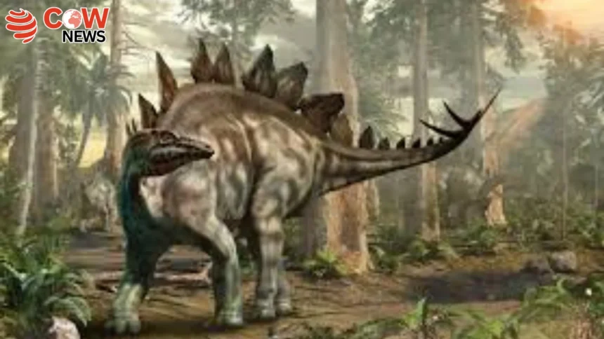 Spiked Dinosaur Discovered in Moroccos Jurassic Terrain 1