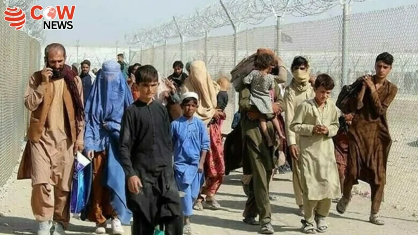 Afghan Repatriation Impacts Quetta Property Market