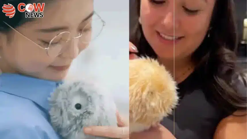 Casio Unveils AI Robot Pet for the Lonely 1 Casio Unveils AI Robot Pet for the Lonely
