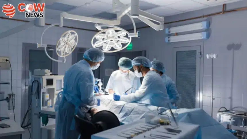 Doctors Remove 100 Magnets from Boy in New Zealand 1 Doctors Remove 100 Magnets from Boy in New Zealand