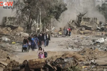 Hope Returns as Cease Fire Sparks Gaza Exodus North