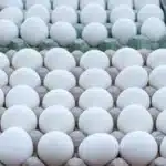 Pakistan’s Egg Exports to US, Gulf Soar Sharply 2 Pakistans Egg Exports to US Gulf Soar Sharply