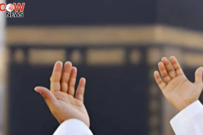 Saudi Arabia to Witness Rare Meteor Shower After 36 Years